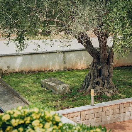 Appartmani Euphemia1 I Euphemia2 Apartment *