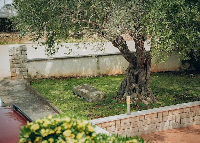 Appartmani Euphemia1 I Euphemia2 Appartement *