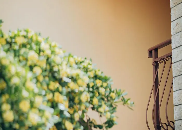 Appartmani Euphemia1 I Euphemia2 Appartement *